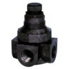 Watts Pressure Reducing Valve – 1/4″